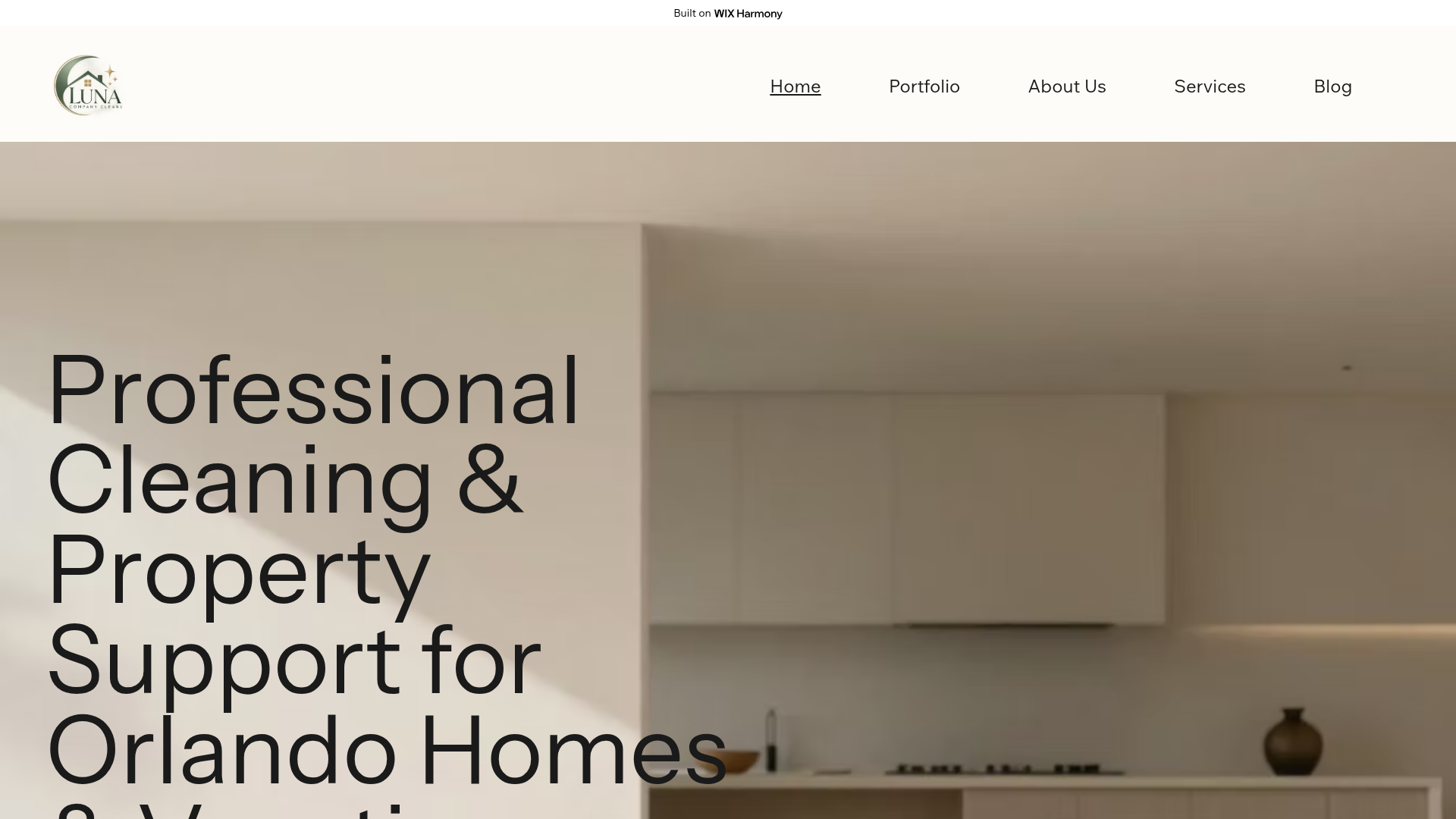 Luna Company Cleans website homepage preview